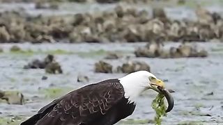 beautiful video best video viral video 4
