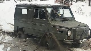 Волинянка на багні