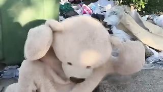 El oso travieso #viral #tendencias