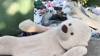El oso ???? millonario ???? part2 #viral #tendencias