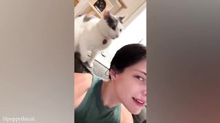 CATS will 102% make you laugh ????Funny Cats Videos 2023 2
