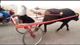Funny Pakistani People's Moments Part 08.