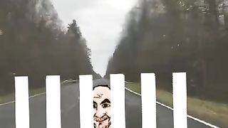 зебра мебра
