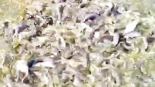 Coba kalian jawab pertanyaan yang ada dalam video ini❗