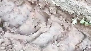 Gali kolam tanah untuk pasang pondasi, agar kolam tanah terlihat rapih