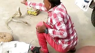 Snack attack