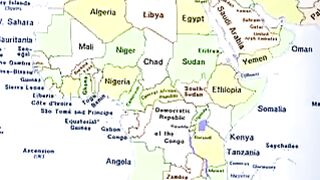 Africa Mr chiken
