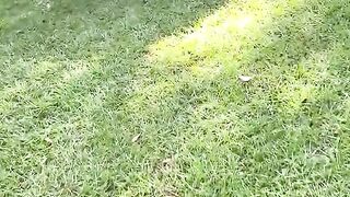 Friendly Rescue Squirrel