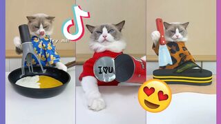 That Little Puff Tiktok Compilation new