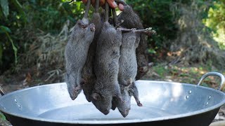 Fried_Rat_in_simple_recipe_with_mango_sauce_in_my_village_#ratcooking_#friedrat