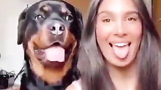 Dogs lover