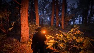 Rtx 3090 ti 4K RDR 2 gameplay