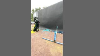How to Train Your Puppy (TikTok)