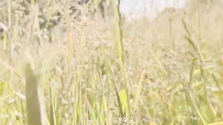 nature cinematic