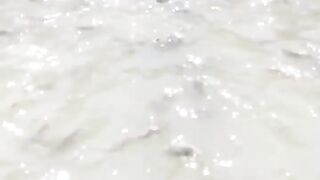 Ikan lele yang agresif dan aktif. Tanda ikan yang sehat????