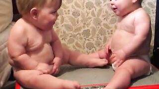 Kiwi Babies Jiggle and Giggle