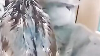 Funny cats