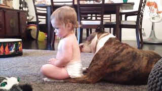 Cute Bady Playing With Dogs