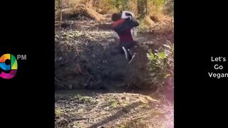 TRY NOT TO LAUGH ???? Best Funny Videos Compilation ???????????? PART 1
