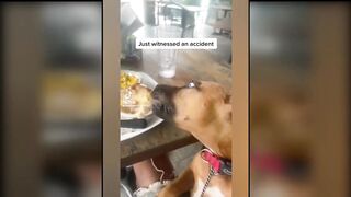 Funny Compilation #01 || Funny Fails
