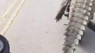 A man riding a crocodile