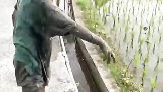 Funny and cute viral in the tiktok