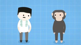 Is it true that humans evolved from monkeys