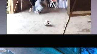 Ridiculous Incident vol 86