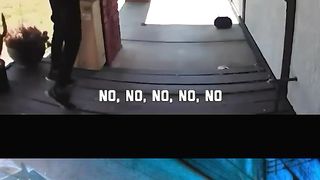 Ridiculous Incident vol 87