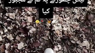 Urdu heart touching line ???? 458