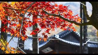 风景 3