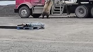 The khatarnak attack