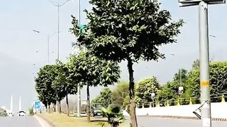 Islamabad Main Expressway Road Islamabad