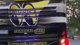 Bismania gayaviral