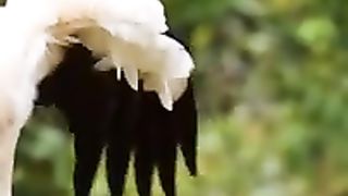 ddddddddd