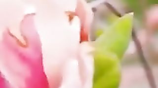 ertjhdfjksfjk