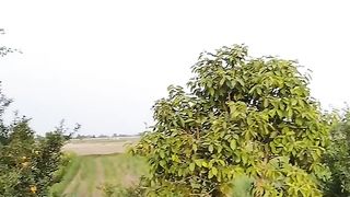 Village life | green field|