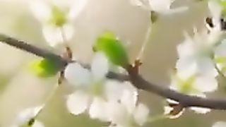 barokah