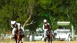 #horse #horselover #nezabazi #pakistan #mianwali#9