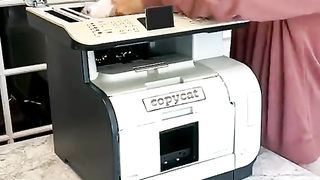 Copy of cat