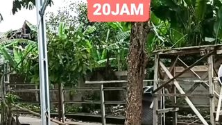 Manfaat tidak makan selama 20 jam