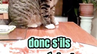3 faits sur les ???? (spéciale sens) .