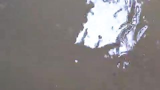 Jika kolam TERTUTUP bermasalah Beri ruang sedikit agar sinar matahari masuk ke kolam