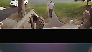 Ridiculous Incident vol 89