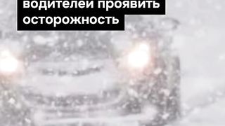 ПОЙНТ МОЛДОВА 74