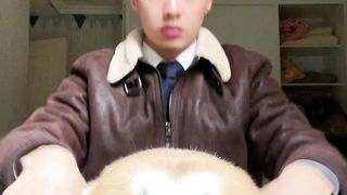 Dogs 08