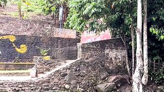Pemandangan 25