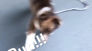 Almond is very attached to me if you can’t tell… And he's the best boy! 2