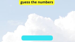 Guess the numbers