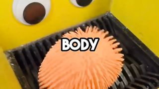 Bizarre Facts that will leave you speechless ????